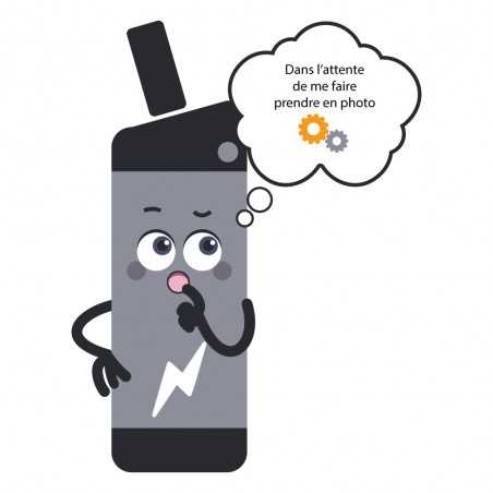 Reconditionnement batterie Grace Easy