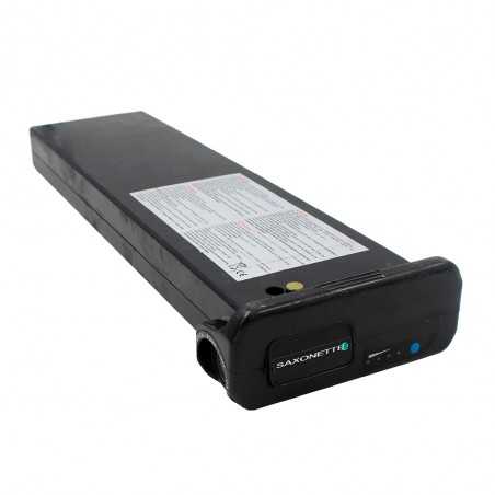 Reconditionnement batterie Saxonette Comfort 250