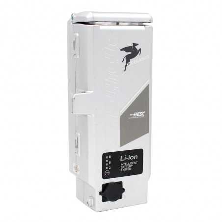 Reconditionnement batterie Pegasus Solero E-Citta 36V