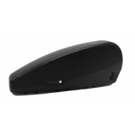 Reconditionnement batterie plomb Cargo Bike JSE152
