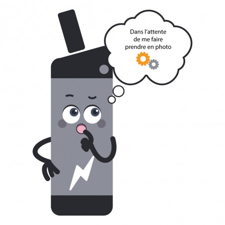 Reconditionnement batterie VanDijck Dana 2019