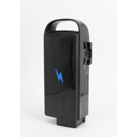Reconditionnement batterie Momentum Model T
