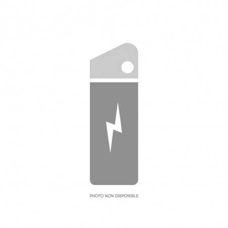 Reconditionnement batterie Rambler