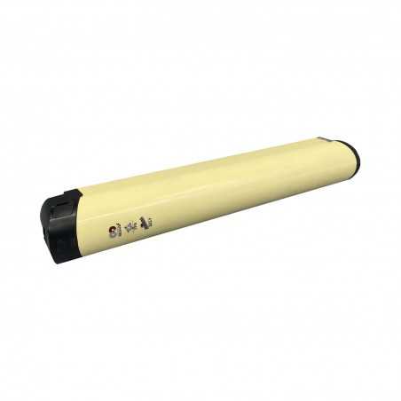 Reconditionnement batterie Starway Touring SW5000