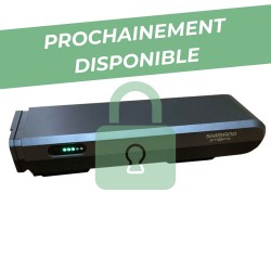 Reconditionnement batterie...